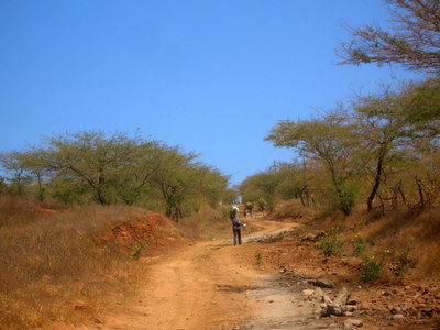 Vers Cidade Veilha